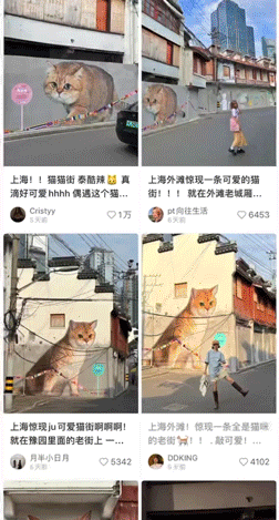 20241223165209_2356