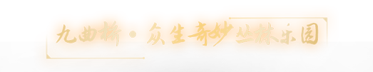 20241224131231_2201 20241224131231_2201