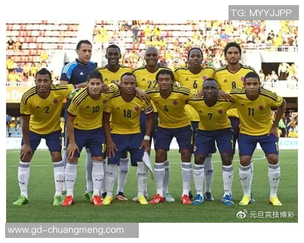 哥伦比亚与卡塔尔精彩对决全场录像回放及精彩瞬间分析