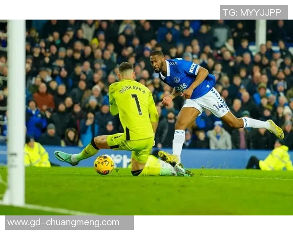 埃佛顿主场迎战纽卡斯力争三分冲击英超排名提升