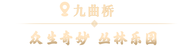 20250102104341_8585