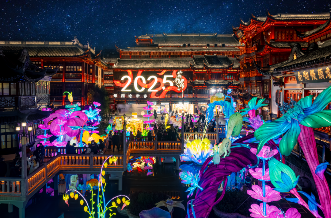 20250113111300_2049 20250113111300_2049