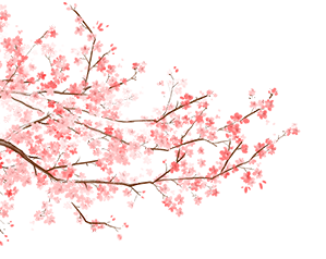 20250126085525_4601 20250126085525_4601