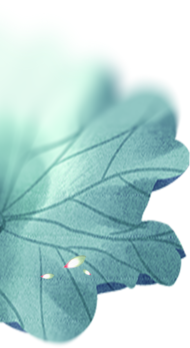 20250126085526_2951 20250126085526_2951