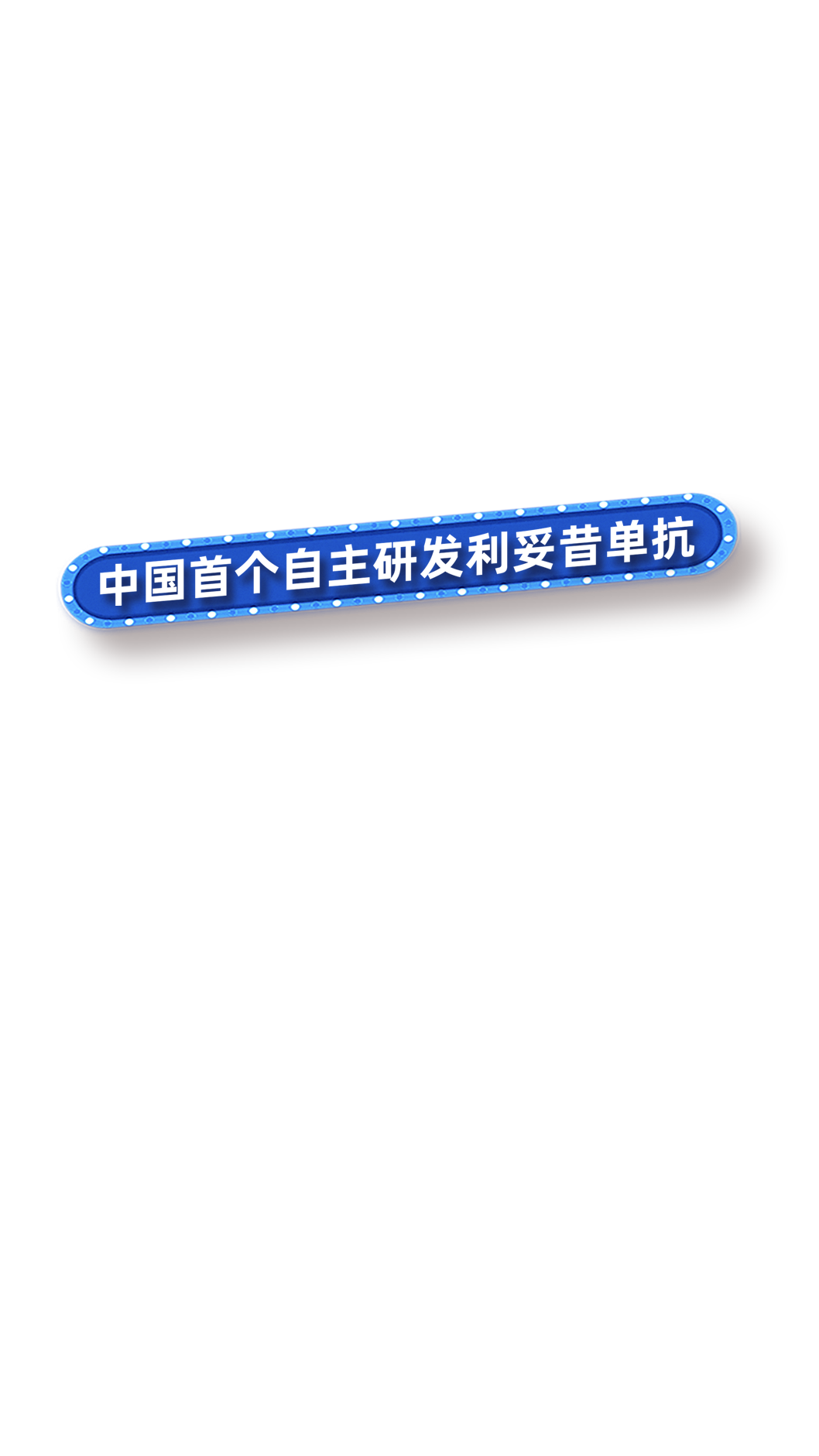20250224111327_8496 20250224111327_8496